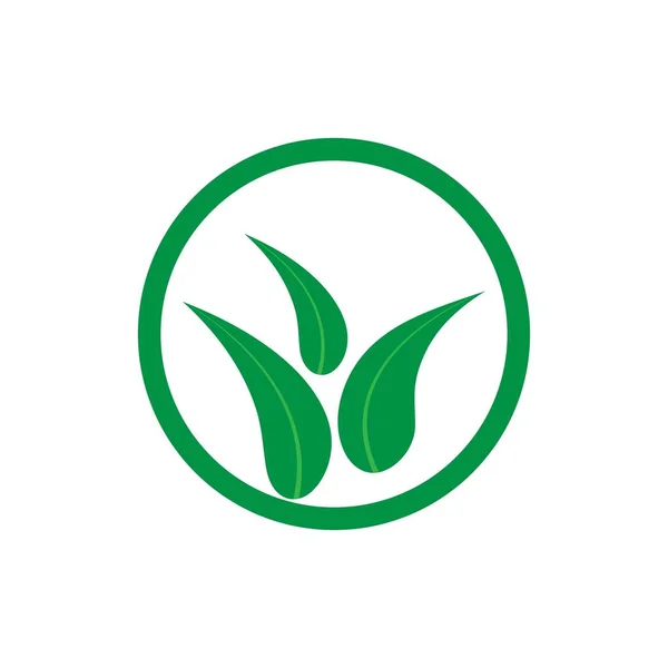 Logo feuille verte — Image vectorielle