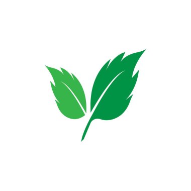 Nane yaprağı logosu 