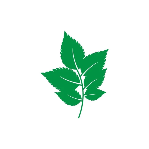 박하 잎 모양의 로고 — 스톡 벡터