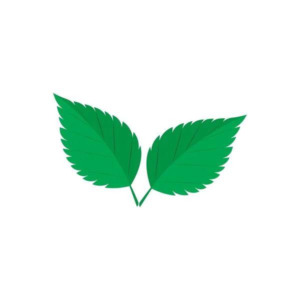 Logo hoja de menta — Vector de stock