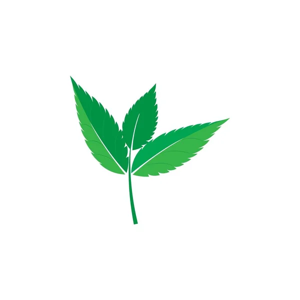 Logo foglia menta — Vettoriale Stock