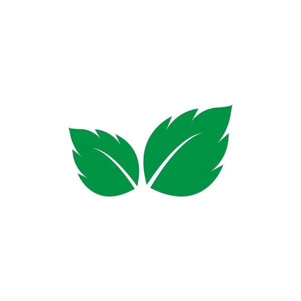Logo hoja de menta — Archivo Imágenes Vectoriales