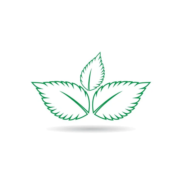 Logo liścia mięty — Wektor stockowy