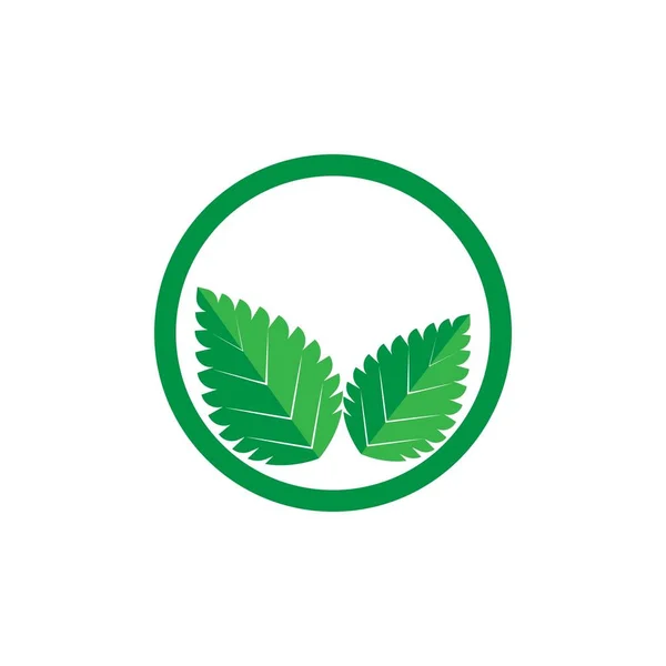 Nane yaprağı logosu — Stok Vektör