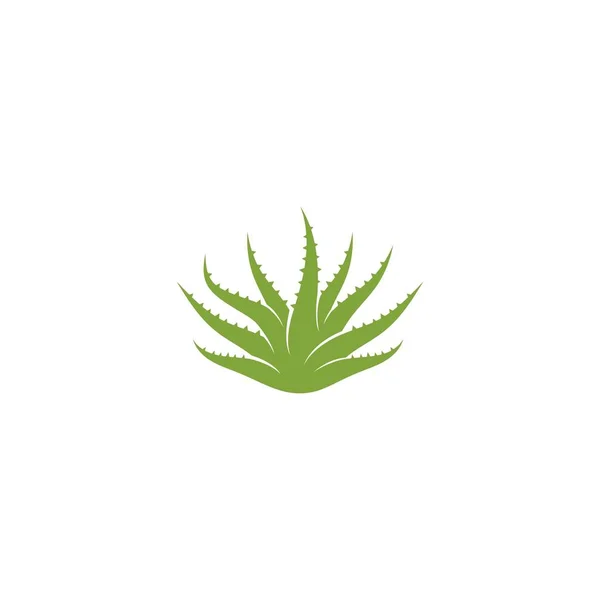 Aloe vera logosu — Stok Vektör