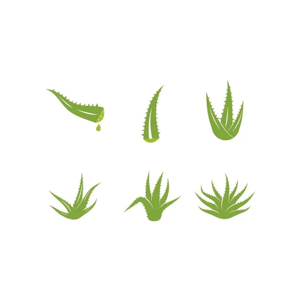 Logotipo Aloe vera — Vetor de Stock