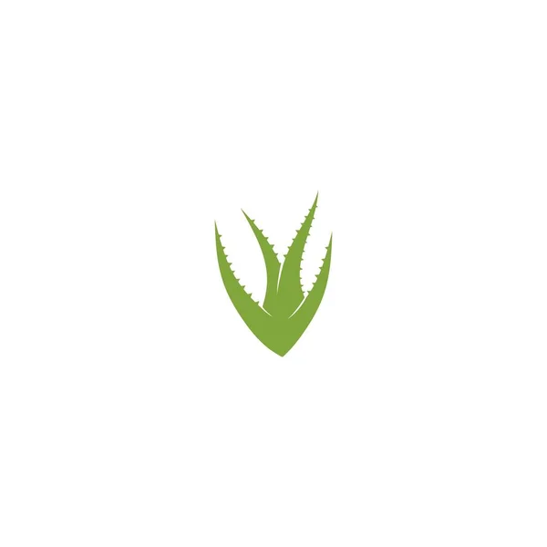 Templat Logo Vektor Ilustrasi Aloe Vera - Stok Vektor