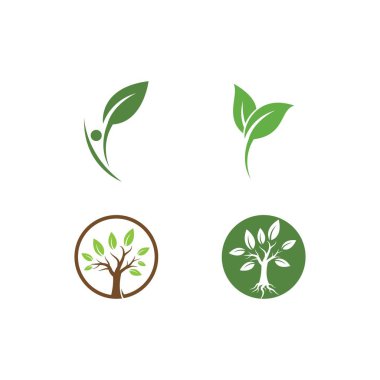Yeşil yaprak logosu ekoloji doğa element vektör simgesi