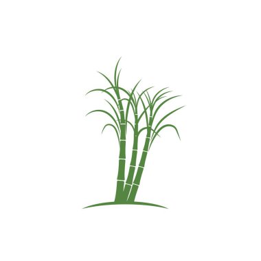 Şeker kamışı bitki logo vektör çizimi tasarımı