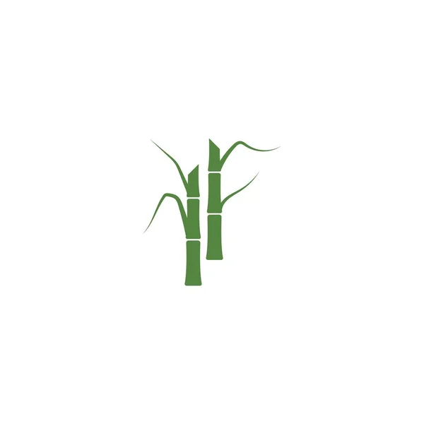 Suikerriet Plant Logo Vector Illustratie Ontwerp — Stockvector