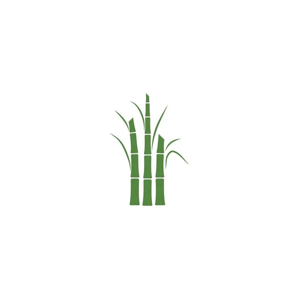 Suikerriet Plant Logo Vector Illustratie Ontwerp — Stockvector