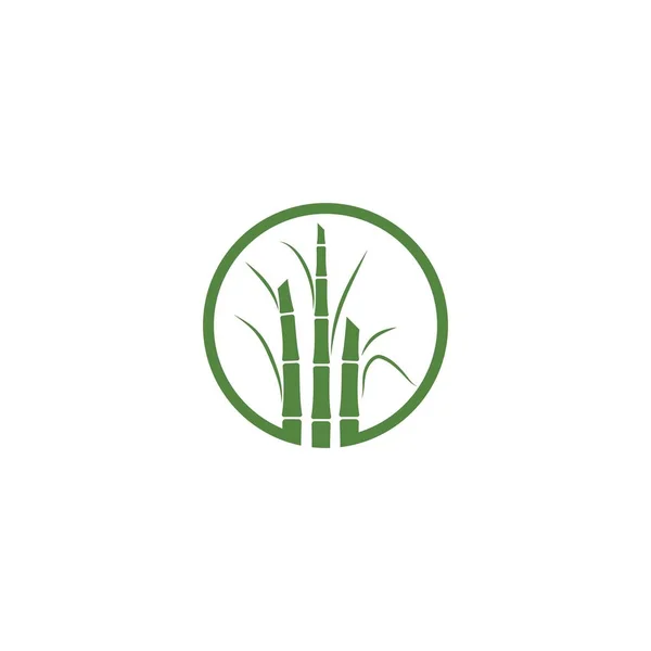 Дизайн Векторной Иллюстрации Логотипа Сахарного Тростника — стоковый вектор