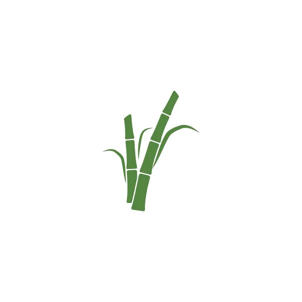 Cana Açúcar Planta Logotipo Vetor Ilustração Design — Vetor de Stock
