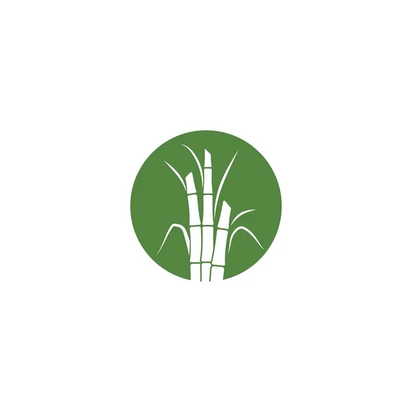 Sugar cane plant logo vector illustration design — Stock Illustration Sugar Cane Plant Logo Vector Illustration Design Stock Vector