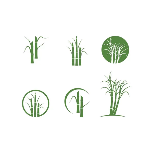 Sugar cane tree logo vector illustration design — Stock Illustration Sugar Cane Tree Logo Vector Illustration Design Stock Illustration