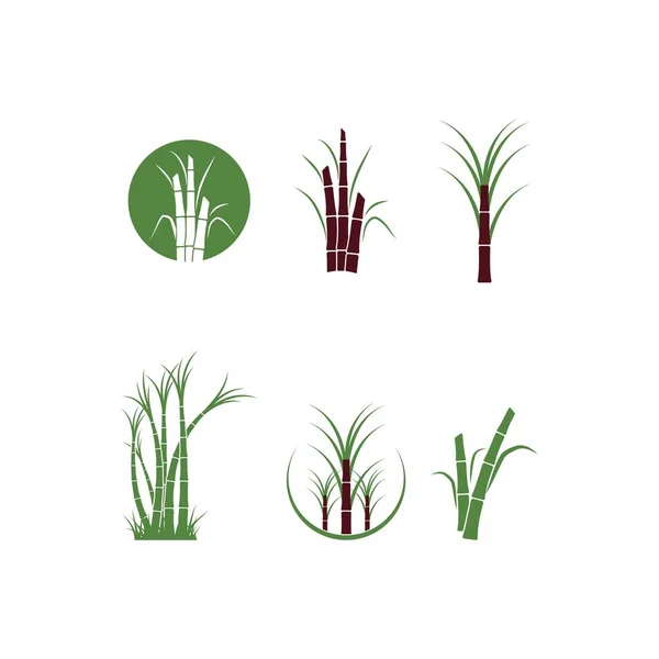 Sugar cane tree logo vector illustration design — Stock Illustration Sugar Cane Tree Logo Vector Illustration Design Vector Graphics
