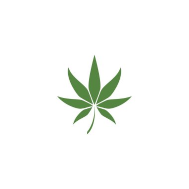 Canabis yaprak logo vektör illüstrasyon tasarımı