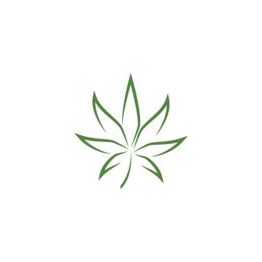 Canabis yaprak logo vektör illüstrasyon tasarımı