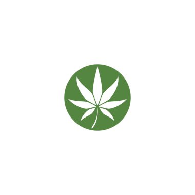 Canabis yaprak logo vektör illüstrasyon tasarımı