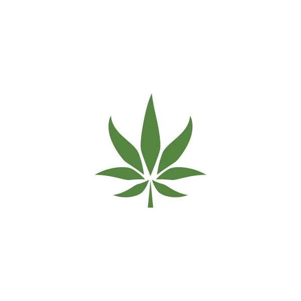 Canabis Leaf Logo Vector Illustration Design — Stock Vector