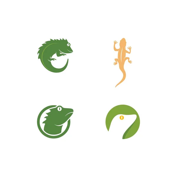 Diseño Vectores Ilustración Logotipo Reptil — Vector de stock