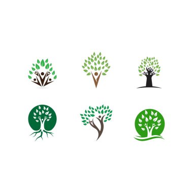 Aile ağacı logo şablonu vektör çizim