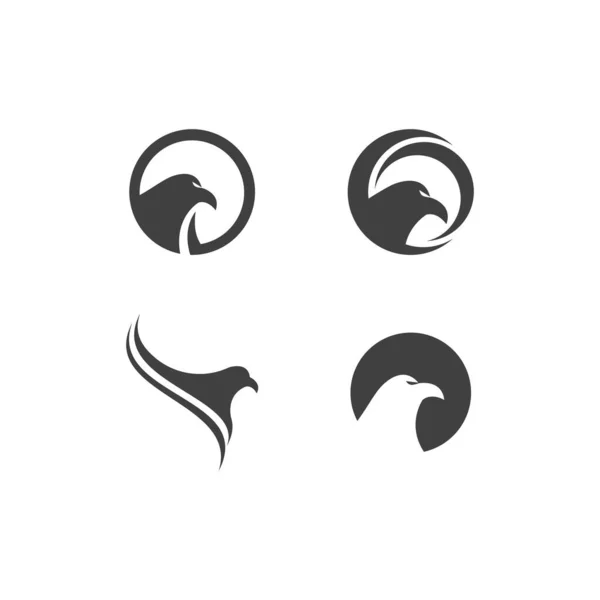 Falcon Logo Template Vektorsymbol — Stockvektor