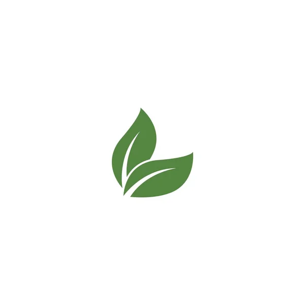 Зеленый Сад Зеленый Лист Экологии Логотип Векторный Дизайн — стоковый вектор