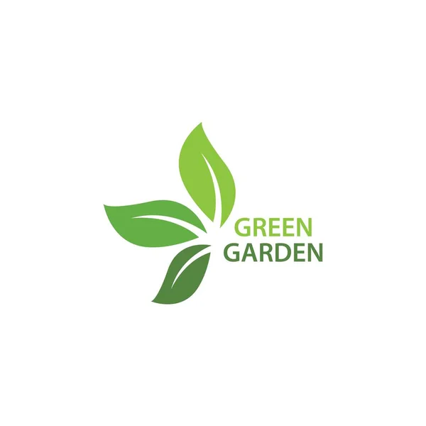 Verde Jardim Verde Folha Ecologia Logotipo Vetor Design — Vetor de Stock