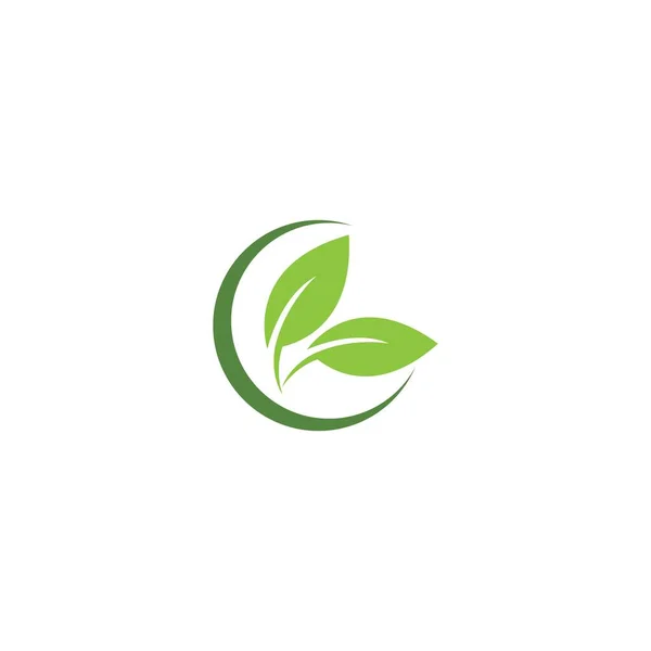 Yeşil Yaprak Logosu Ekoloji Doğa Element Vektör Simgesi — Stok Vektör
