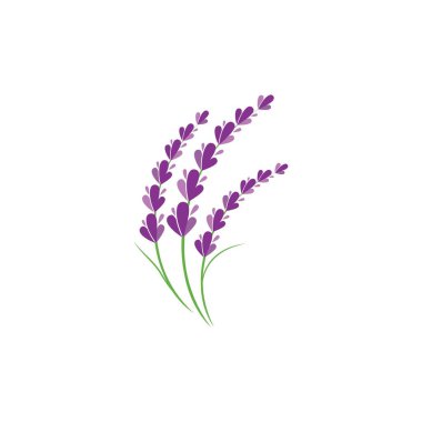 Taze lavanta çiçeği logo vektörü düz tasarım