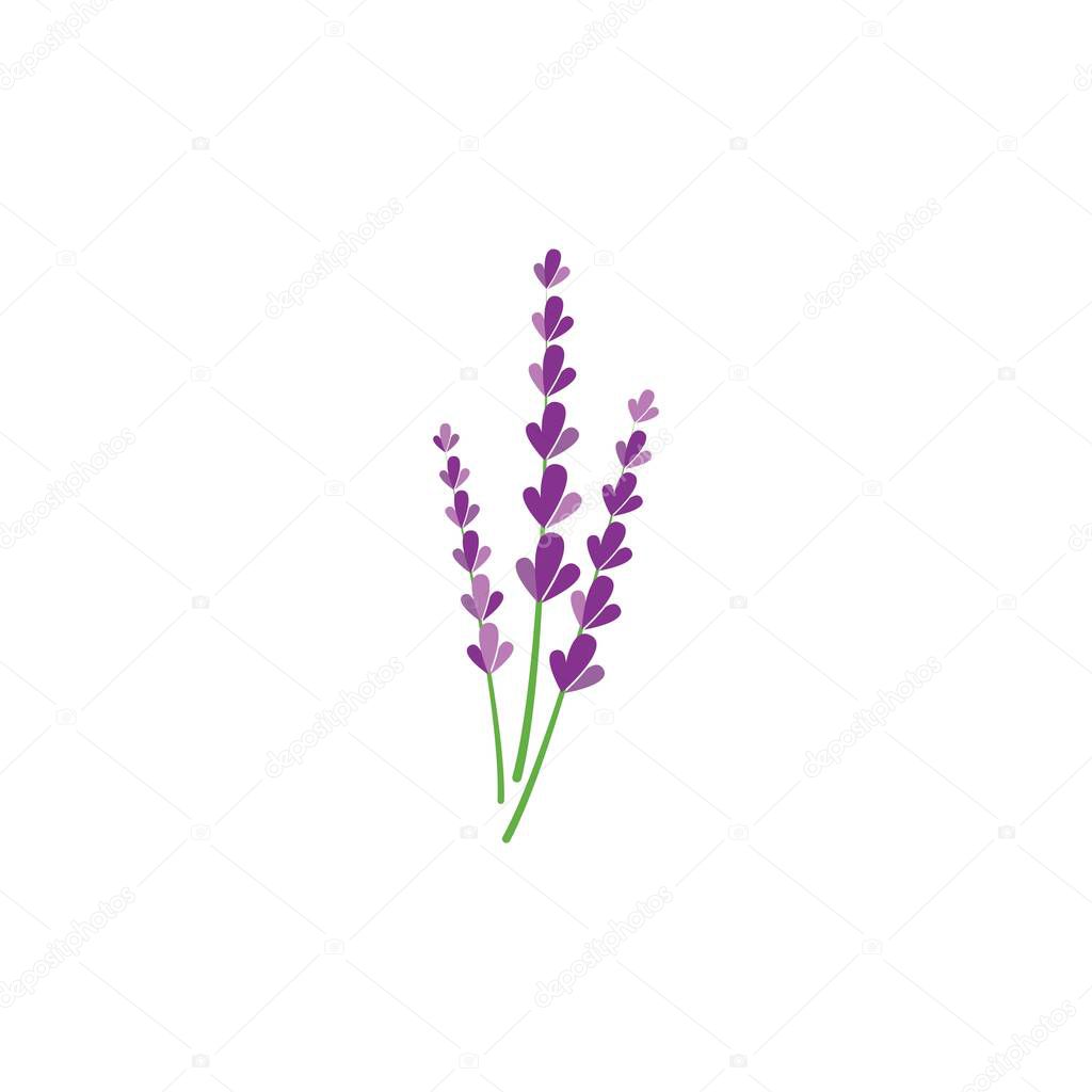 Fresh Lavender flower logo vector flat design