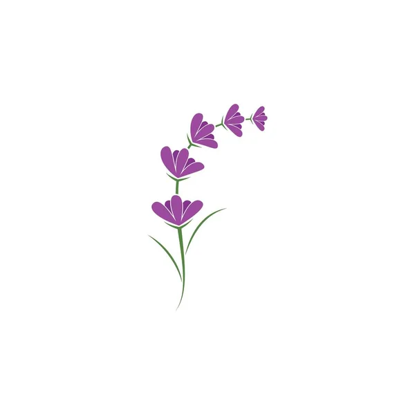 Čerstvé Levandule Květ Logo Vektor Plochý Design — Stockový vektor