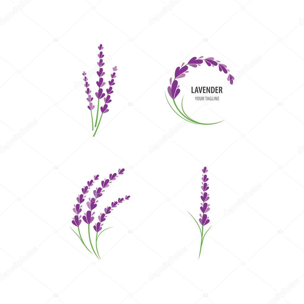 Fresh Lavender flower logo vector flat design