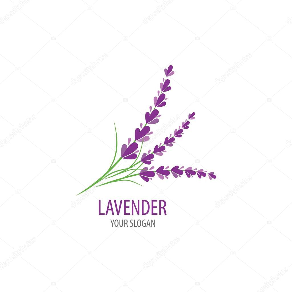 Fresh Lavender flower logo vector flat design