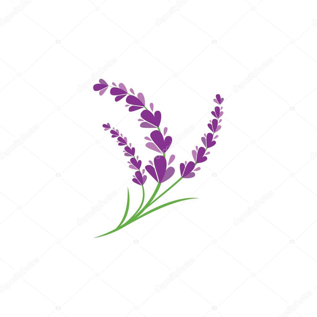 Fresh Lavender flower logo vector flat design