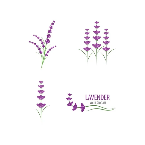 Vers Lavendel Bloem Logo Vector Plat Ontwerp — Stockvector