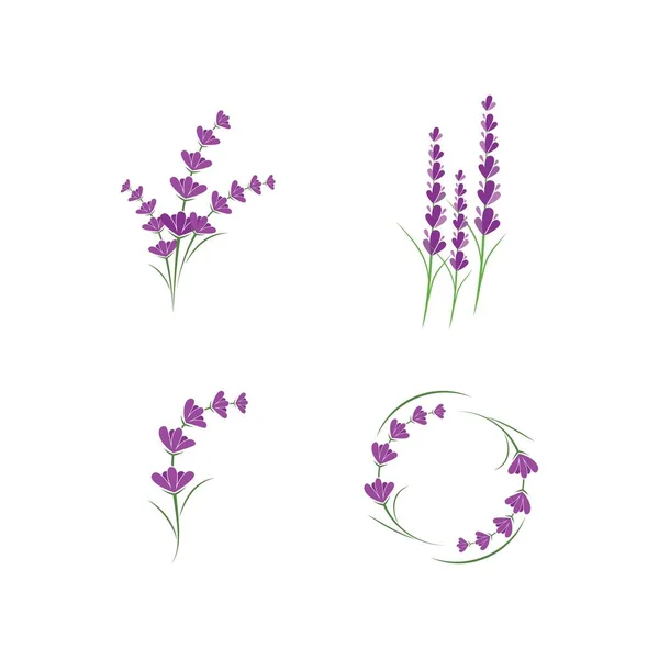 Fresco Flor Lavanda Logo Vector Diseño Plano — Vector de stock