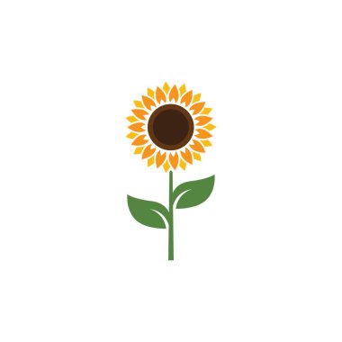 Ayçiçeği vektör tasarımı örnekleme şablonu 