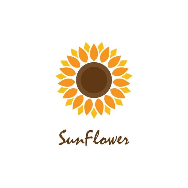 Ayçiçeği vektör tasarımı örnekleme şablonu 