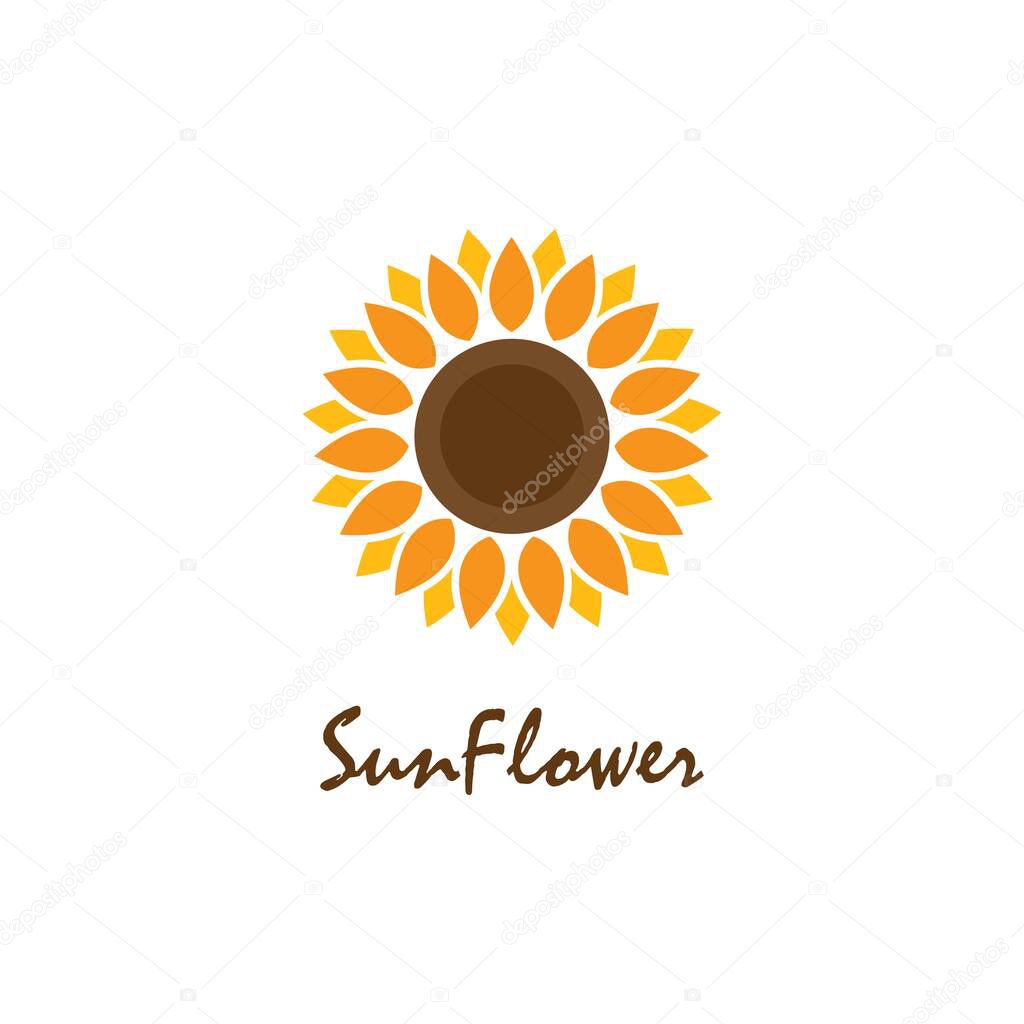 Sunflower vector design illustration template 
