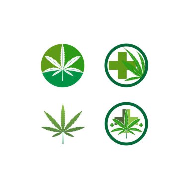 canabis yaprak logo vektör çizimi
