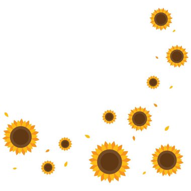 Ayçiçeği arkaplan vektör çizimi tasarımı