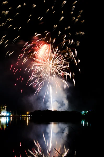 Bright firework on the night sky — Stock Photo, Image