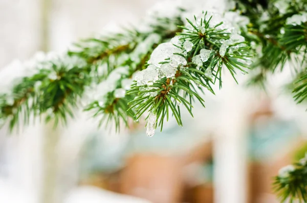 eriyen kar ladin dallarda yalan