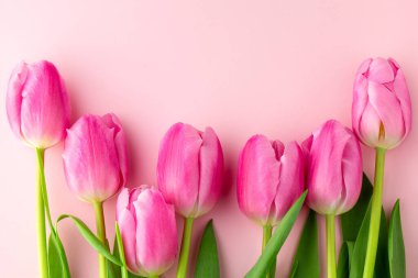 Kopya alanı olan laleler. Pembe arka planda bir buket pembe lale. Bahar kompozisyonu. 8 Mart. Anneler Günü geçmişi. Çiçekli kart. Sevgililer Günü. Bahar konsepti Tatil, bahar düzeni.