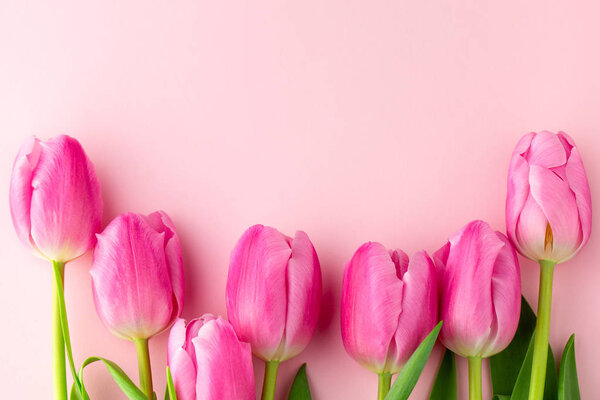 Tulips with copy space. Bouquet of pink tulips on a pink background. Spring composition. March 8. Mother's day background. Card with flowers. Valentine's day. Spring concept. Holiday, spring layout.