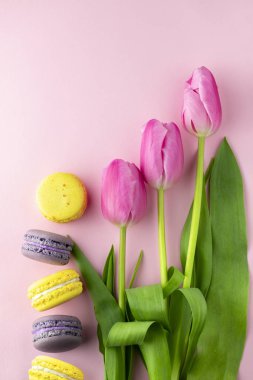 Pembe arka planda laleler, metin yazarlığı için bir yer. Bahar kavramı. Laleli tebrik kartı. Pembe arka planda çiçekli çok renkli badem kurabiyeleri. Yaz kavramı. Bahar kartı için arkaplan