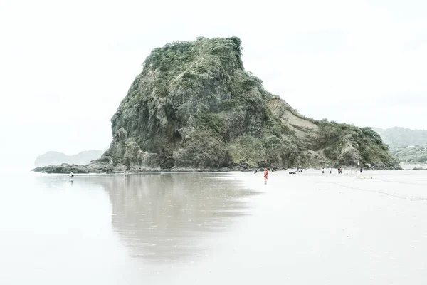 One of the most spectacular beaches of the world is in New Zealand and is called Piha beach