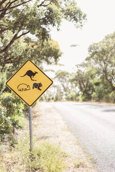 Koala road sign in Australia alongside with kangaroo and wombat